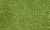 Ковер Витебские ковры Микрофибра прямоугольник 11000-20 (2.0х2.9, светло зеленый) - 