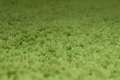 Ковер Витебские ковры Микрофибра прямоугольник 11000-20 (2.0х2.9, светло зеленый)