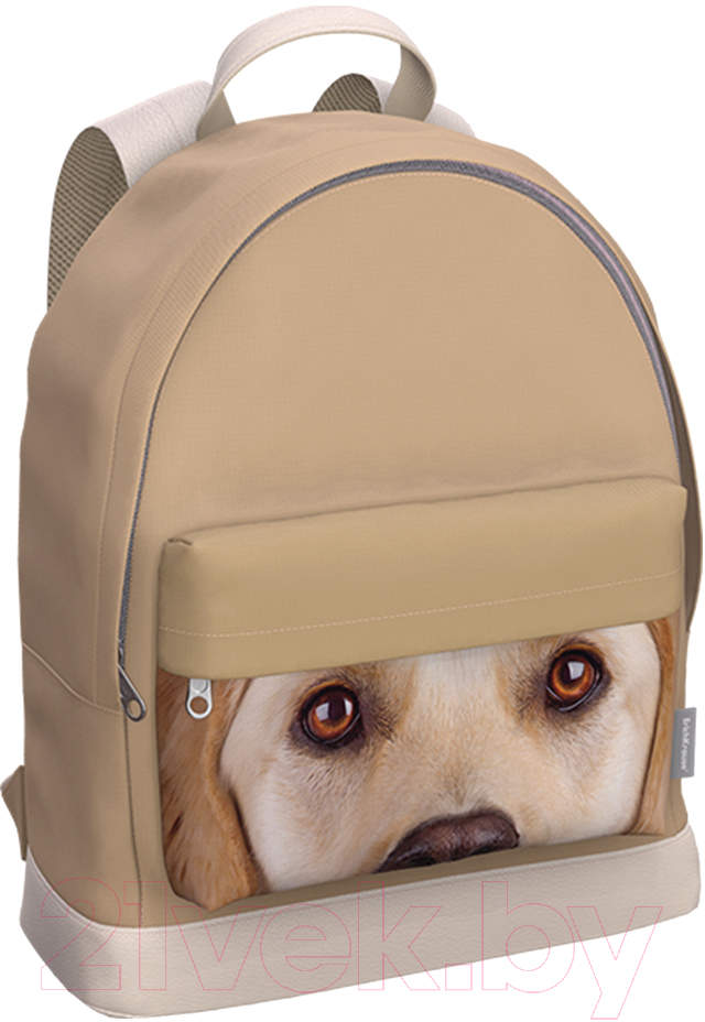 Рюкзак Erich Krause StreetLine 17L Beige Dog / 60905