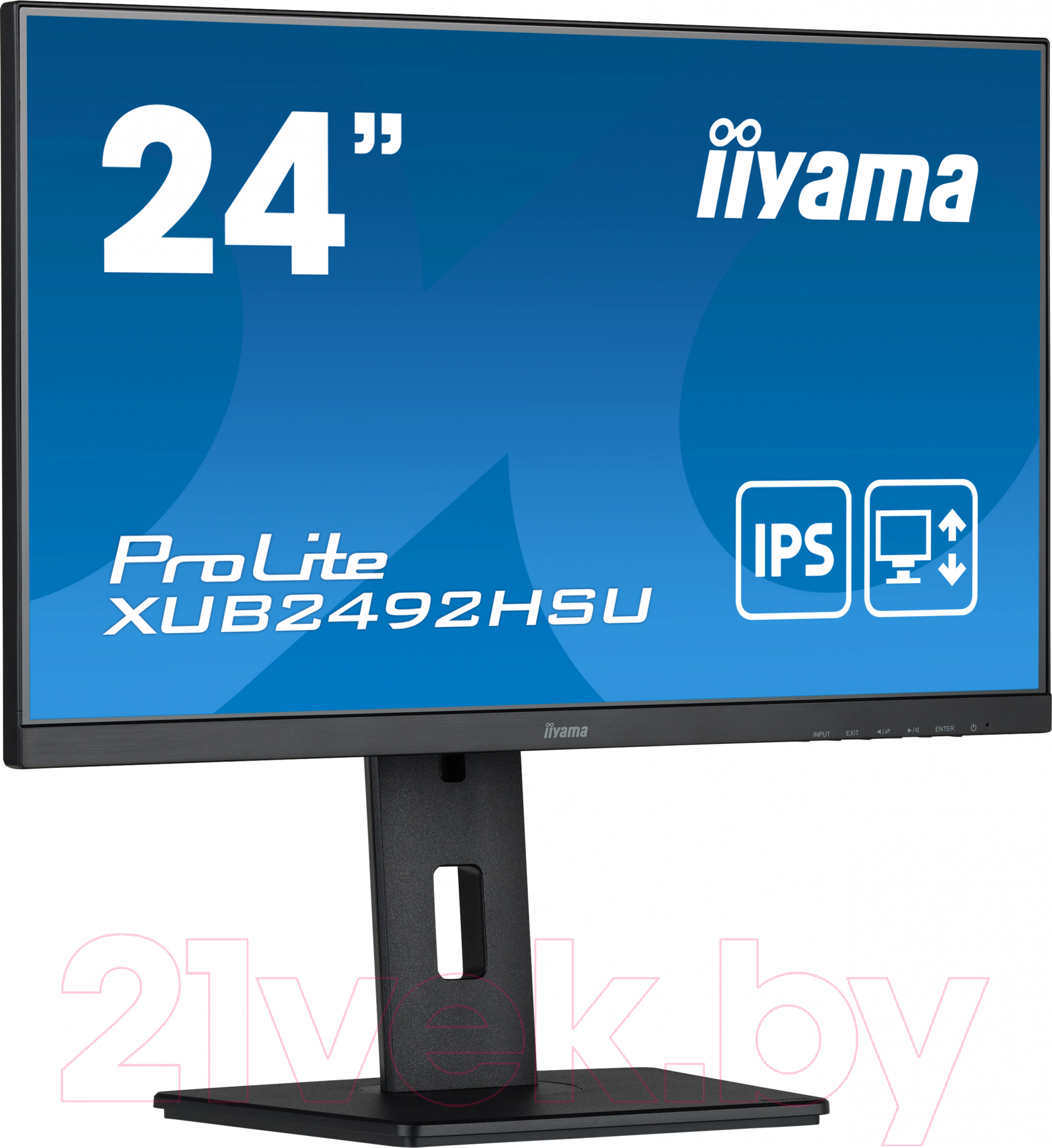 Монитор Iiyama ProLite XUB2492HSU-B5