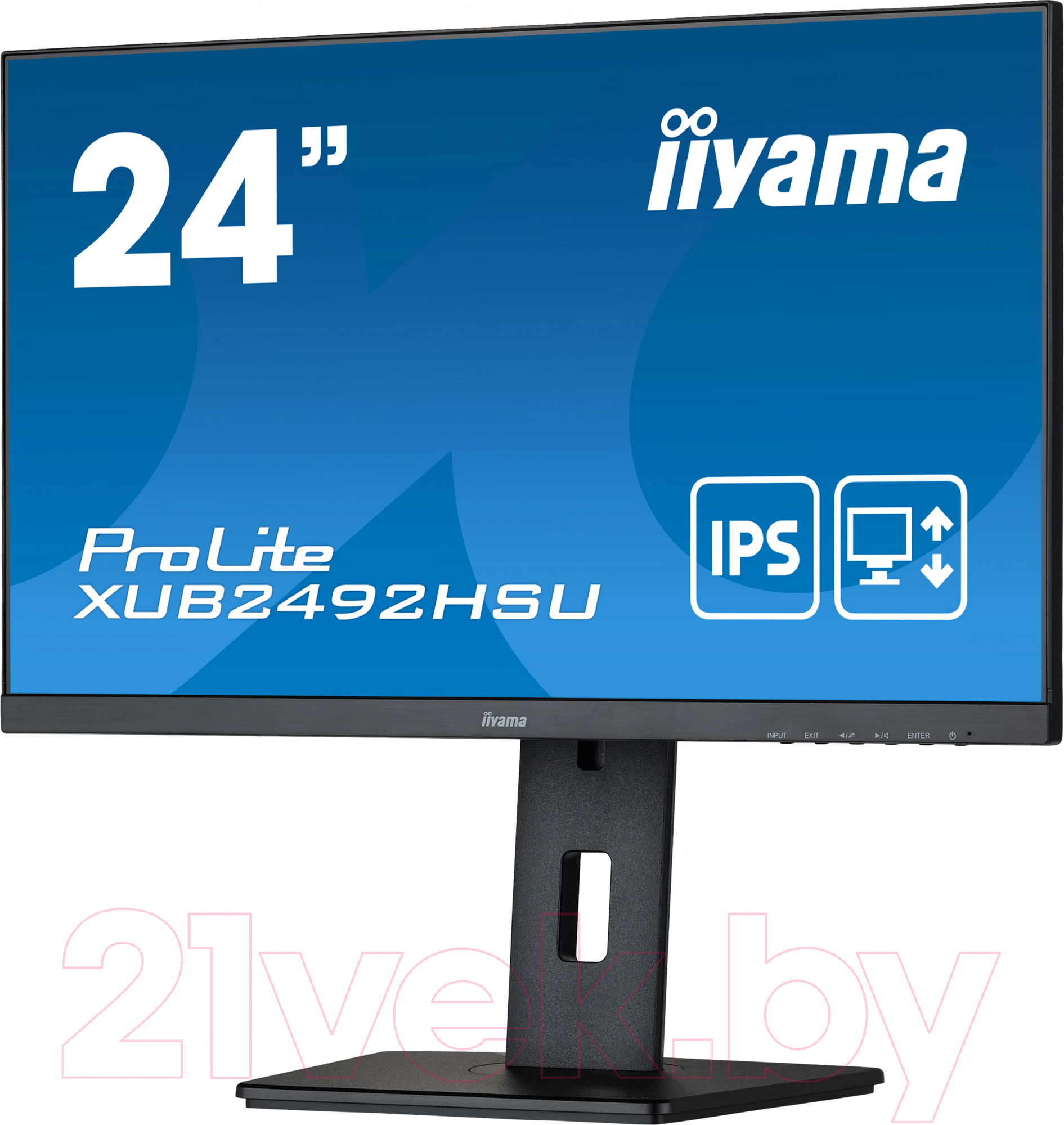 Монитор Iiyama ProLite XUB2492HSU-B5