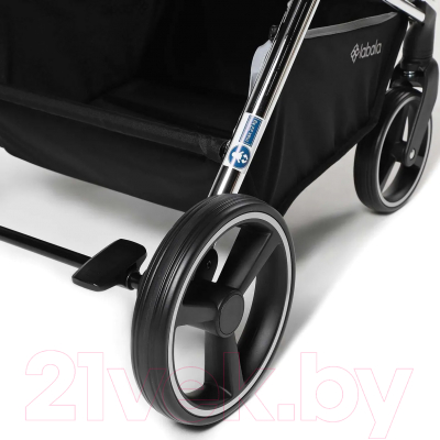 Детская прогулочная коляска Labala Raiz 2021 / LC2102-02BLA (Black)