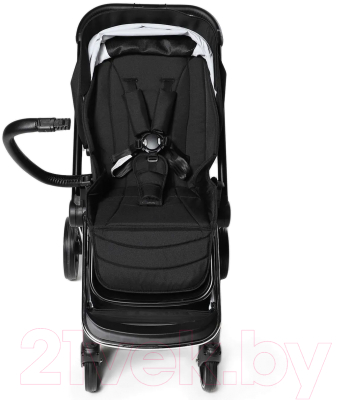 Детская прогулочная коляска Labala Raiz 2021 / LC2102-02BLA (Black)