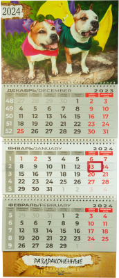 Календарь настенный SKN PhotoGallery Квартальный Раздраконненые 2024