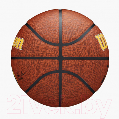 Баскетбольный мяч Wilson NBA Team Alliance Denver Nuggets / WTB3100XBDEN (размер 7)