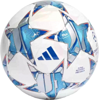 

Мяч для футзала, Finale Pro Sala FIFA 23-24 / IA0951