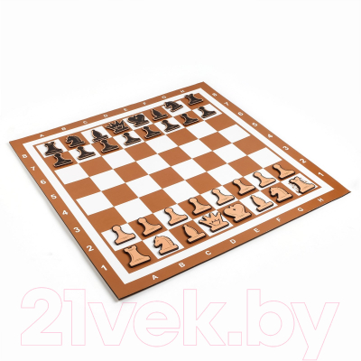 Шахматы Время игры Демонстрационные / 9562047 (коричневый)