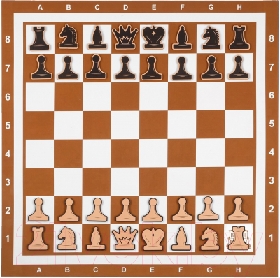 Шахматы Время игры Демонстрационные / 9562047 (коричневый)