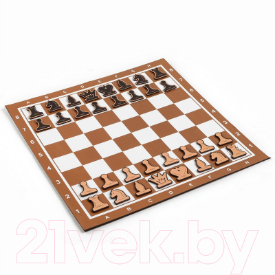 Шахматы Время игры Демонстрационные / 9562046 (коричневый)
