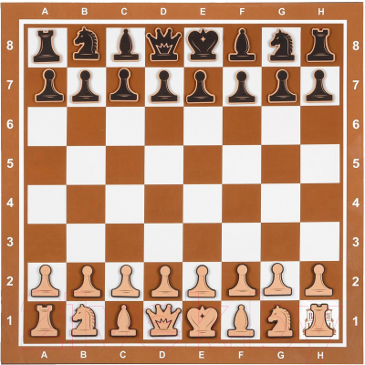 Шахматы Время игры Демонстрационные / 9562046 (коричневый)