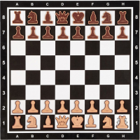 Шахматы Время игры Демонстрационные / 9562048 (черный) - 