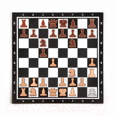 Шахматы Время игры Демонстрационные / 9562048 (черный)