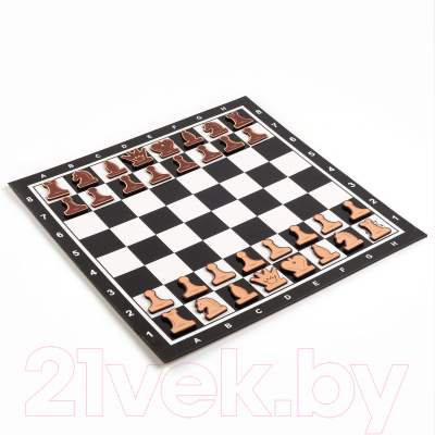 Шахматы Время игры Демонстрационные / 9562048 (черный)