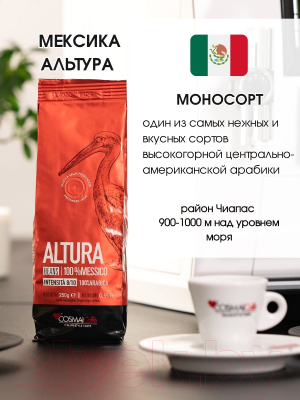 Кофе в зернах Cosmai Caffe Altura Mexico 100% Арабика (250г)