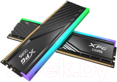 Оперативная память DDR5 A-data AX5U6000C3016G-DTLABRBK