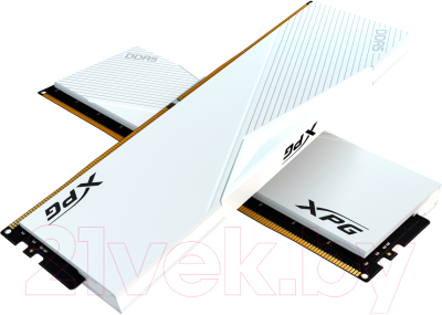 Оперативная память DDR5 A-data AX5U5200C3816G-DCLAWH