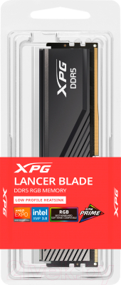 Оперативная память DDR5 A-data AX5U6400C3216G-SLABRBK