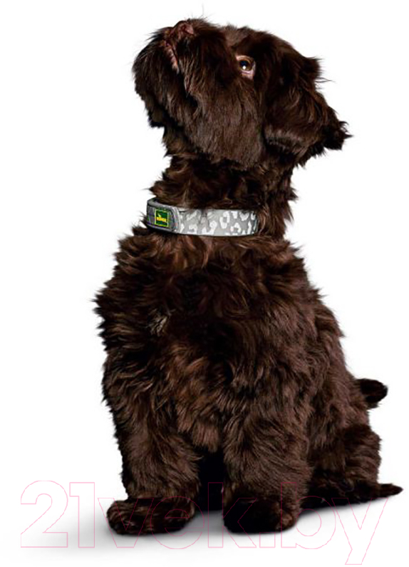 Ошейник HUNTER Collar Convenience Refl Glow / 69163 (55/M-L, леопард) — фото 5