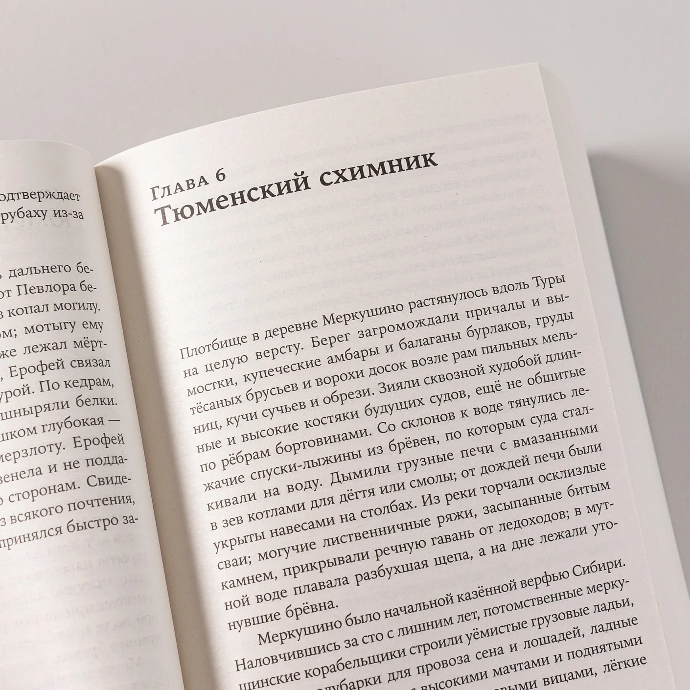 Набор художественных книг Альпина Тобол. Мягкая обложка (Иванов Александр) — фото 6