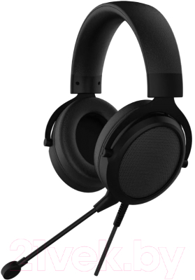 Изображение товара Наушники-гарнитура Acer AHW120 / ZL.HDSCC.01C (черный)