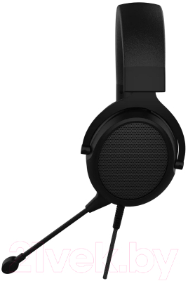 Изображение товара Наушники-гарнитура Acer AHW120 / ZL.HDSCC.01C (черный)