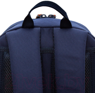 Школьный рюкзак Grizzly RB-455-1 (синий/хаки)