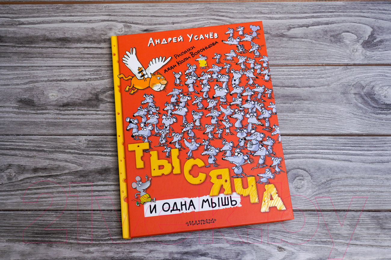 Художественная книга АСТ Тысяча и одна мышь / 9785171607678 (Усачев А.А.) — фото 4