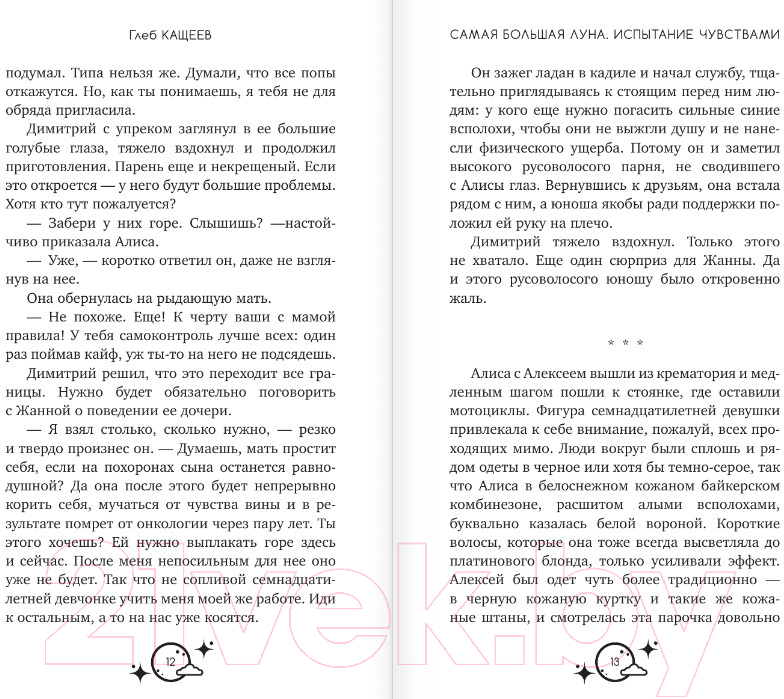 Художественная книга АСТ Самая большая луна. Испытание чувствами / 9785171603175 (Кащеев Г.Л.) — фото 6