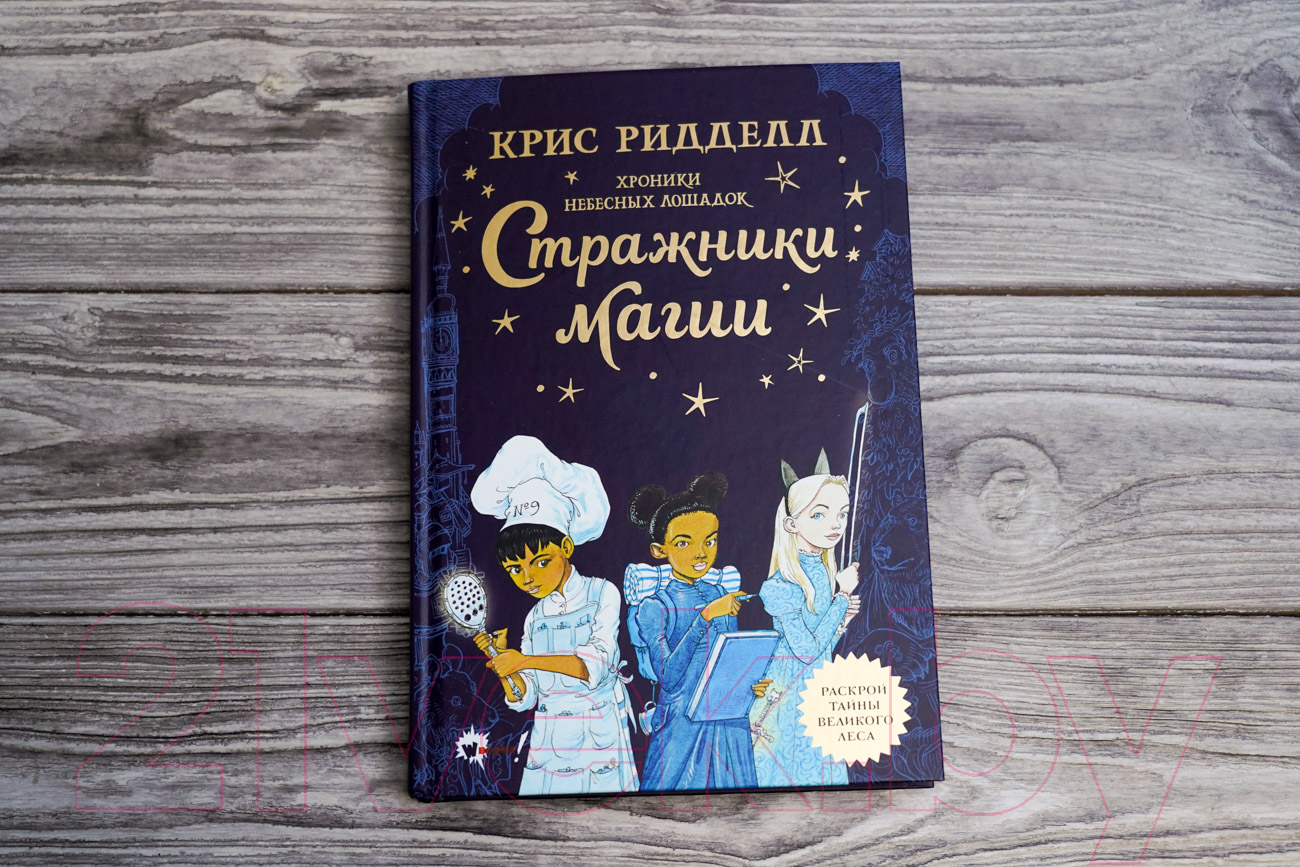 Художественная книга АСТ Хроники небесных лошадок. Стражники магии / 9785171198718 (Ридделл К.) — фото 4
