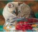 Набор алмазной вышивки Darvish Любопытный котенок / DV-9517-16 - 