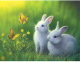Набор алмазной вышивки Darvish Два кролика и бабочки / DV-9514-13 - 