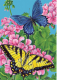 Картина по номерам Darvish Бабочки в цветах / DV-9519-14 - 