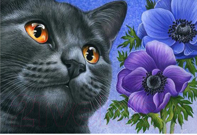 Картина по номерам Darvish Кот с цветами / DV-9519-5