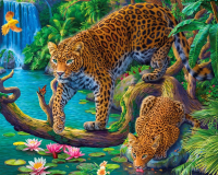 Картина по номерам РЫЖИЙ КОТ Леопарды у водопада на дереве / ХК-6610 - 