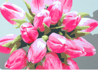 Картина по номерам Darvish Тюльпаны / DV-9519-6 - 