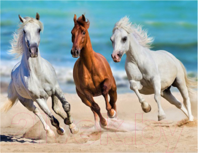 Картина по номерам РЫЖИЙ КОТ Тройка коней у моря / ХК-6613