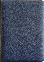 Ежедневник InFolio Buffalo / I1360 (синий) - 