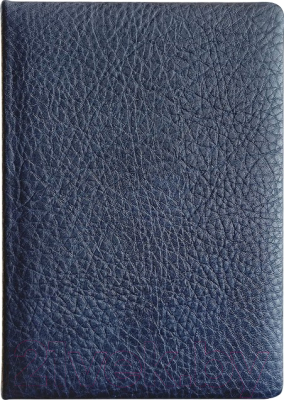 Ежедневник InFolio Buffalo / I1360 (синий)