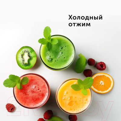 Изображение товара Соковыжималка электрическая RED solution RJ-930S