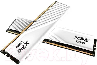 Оперативная память DDR5 A-data AX5U6000C3016G-DTLABWH