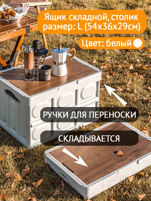 Ящик для хранения Happy Home HH-003 со столиком и ручками (30л, белый)