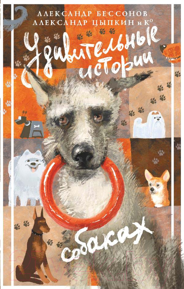 Художественная книга АСТ Удивительные истории о собаках / 9785171595043 (Цыпкин А.Е.) — фото 1