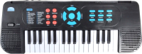 Синтезатор Sonata IT105309 - 