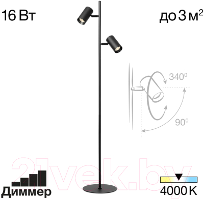 Торшер Citilux Twin CL809011N