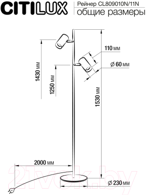 Торшер Citilux Twin CL809011N