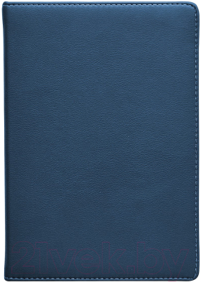 Ежедневник InFolio Matte / I1190 (синий)