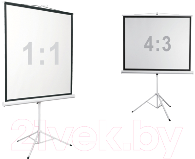 Проекционный экран Digis DSKD-4304 (248x189)