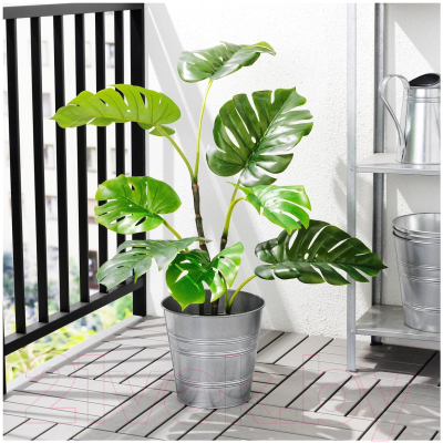 Искусственное растение Ikea Фейка 303.953.16