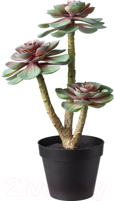 Искусственное растение Ikea Фейка 603.953.29
