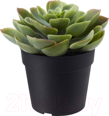 Искусственное растение Ikea Фейка 603.953.05